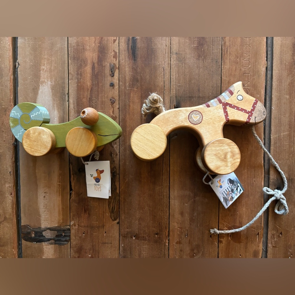 Friendly Toy -organic wooden toy set (pull along horse and chameleon) Montessori